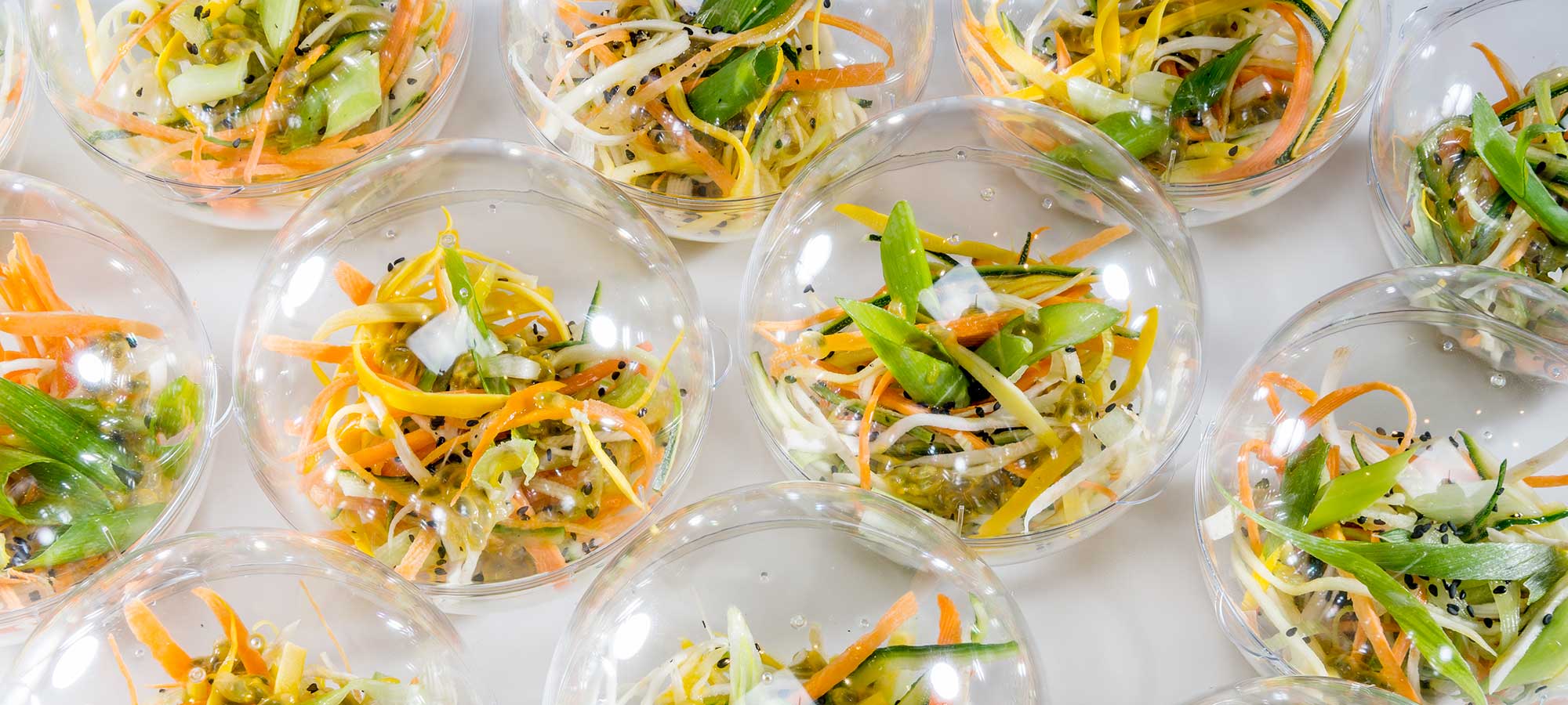 Aviator Line Aviator Line